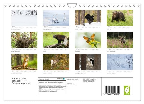 Produktbild: Finnland: eine tierische Entdeckungsreise (Wandkalender 2026 DIN A4 quer), CALVENDO Monatskalender