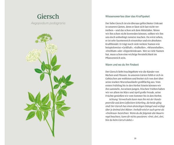 Produktbild: K&ouml;stliches Unkraut