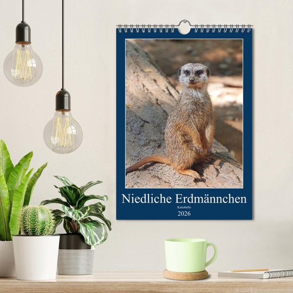 Produktbild: Niedliche Erdm&auml;nnchen (Wandkalender 2026 DIN A4 hoch), CALVENDO Monatskalender