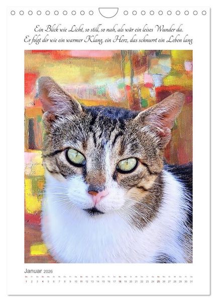 Produktbild: Katzenlyrik - Zw&ouml;lf Seelen auf Samtpfoten in Wort und Bild (Wandkalender 2026 DIN A4 hoch), CALVENDO Monatskalender