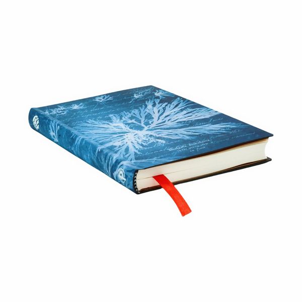 Produktbild: Notizbuch, Meeresblumen, Mini, Liniert