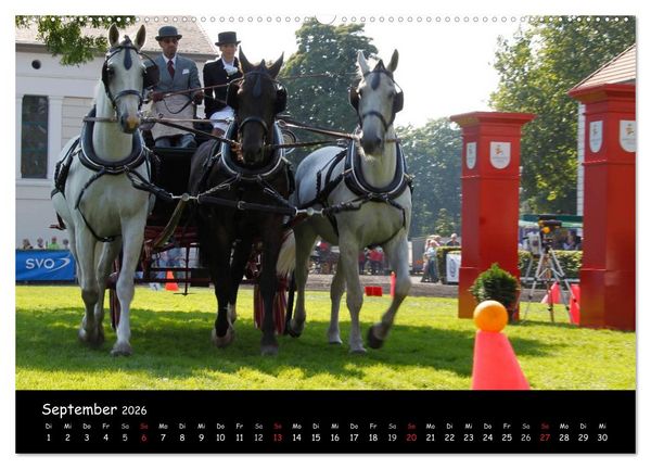 Produktbild: CIAT - Historischer Fahrsport in Celle (Wandkalender 2026 DIN A2 quer), CALVENDO Monatskalender