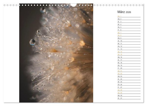 Produktbild: Kleine Wunder vor der Haust&uuml;r (Wandkalender 2026 DIN A3 quer), CALVENDO Monatskalender