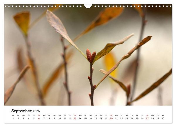 Produktbild: Unterwegs im Teufelsmoor (Wandkalender 2026 DIN A3 quer), CALVENDO Monatskalender