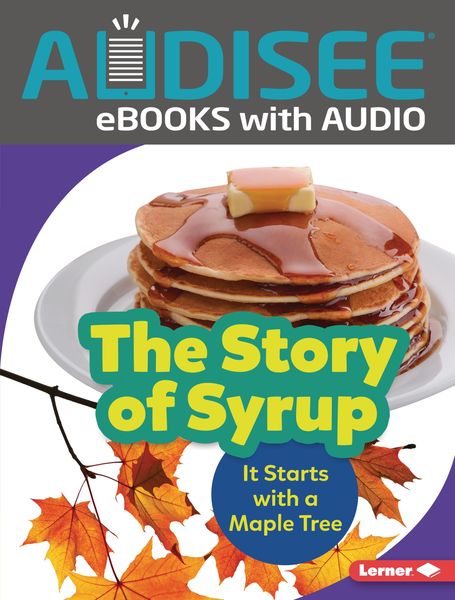 Produktbild: Story of Syrup