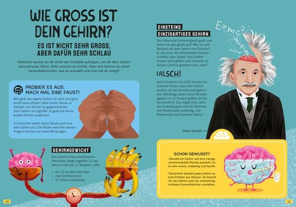 Produktbild: In den Kopf geschaut &ndash; Was das Gehirn alles kann