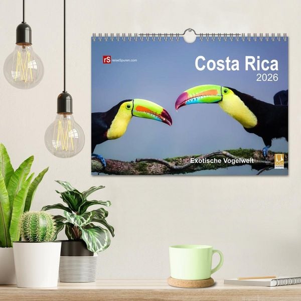 Produktbild: Costa Rica 2026 Exotische Vogelwelt (Wandkalender 2026 DIN A4 quer), CALVENDO Monatskalender