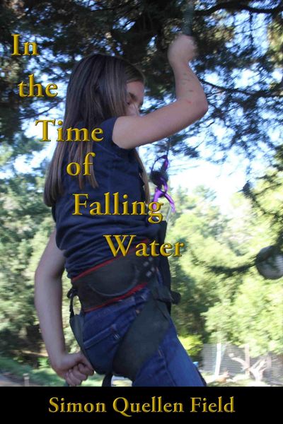 Produktbild: In the Time of Falling Water