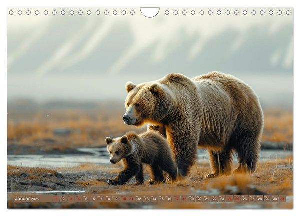 Produktbild: Wildes B&auml;renland (Wandkalender 2026 DIN A4 quer), CALVENDO Monatskalender