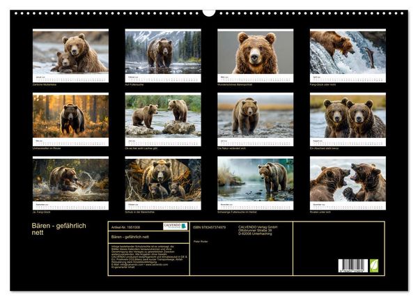 Produktbild: B&auml;ren - gef&auml;hrlich nett (Wandkalender 2026 DIN A2 quer), CALVENDO Monatskalender
