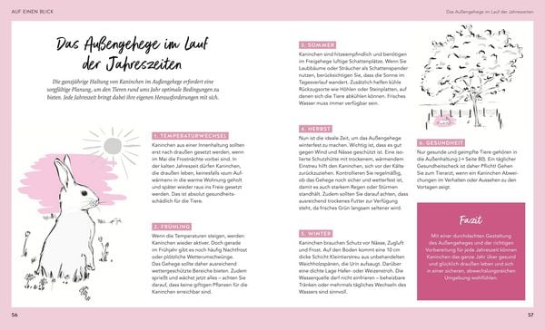 Produktbild: Kaninchen im Au&szlig;engehege
