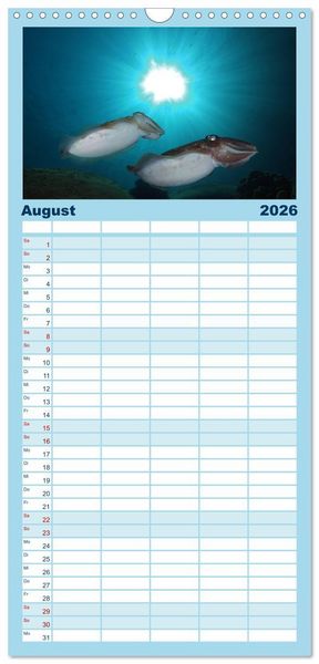 Produktbild: Familienplaner 2026 - Tauchen, Fische und Meer mit 5 Spalten (Wandkalender, 21 x 45 cm) CALVENDO