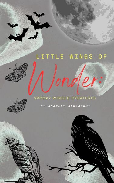Produktbild: Little Wings of Wonder: Spooky Winged Creatures