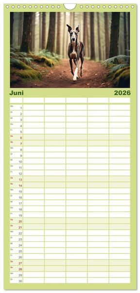Produktbild: Familienplaner 2026 - Windhunde im Portrait mit 5 Spalten (Wandkalender, 21 x 45 cm) CALVENDO