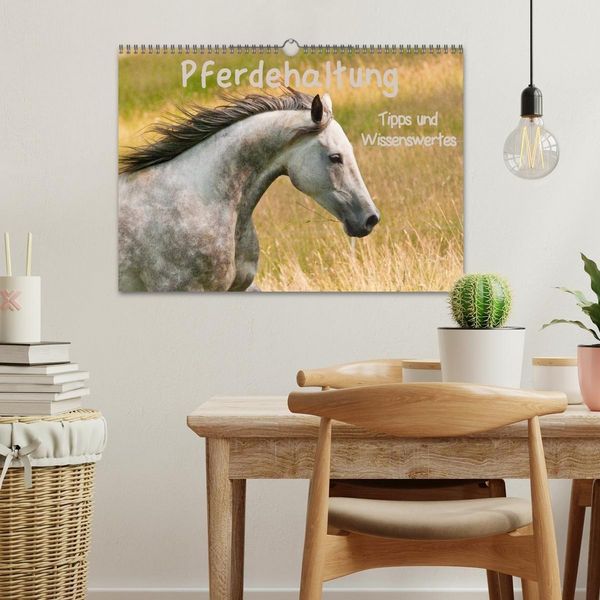 Produktbild: Pferdehaltung Tipps und Wissenswertes (Wandkalender 2027 DIN A3 quer), CALVENDO Monatskalender