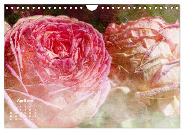 Produktbild: Rosen Romantik (Wandkalender 2026 DIN A4 quer), CALVENDO Monatskalender