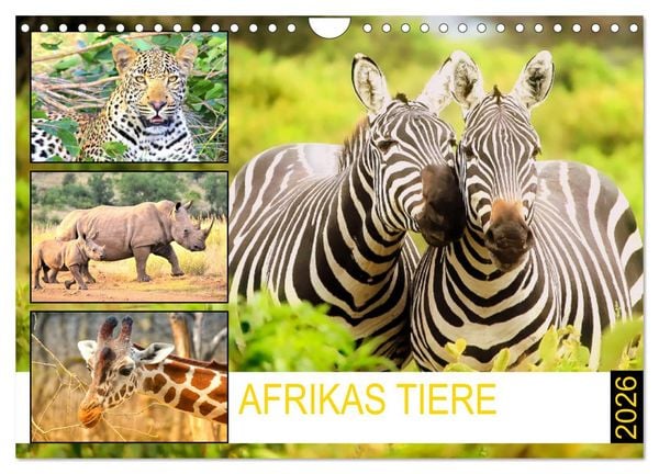 Afrikas Tiere. Majestäten in exotischer Wildnis (Wandkalender 2026 DIN A4 quer), CALVENDO Monatskalender