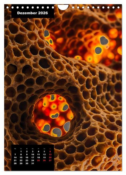 Produktbild: Bienen in ihrem geheimen Reich (Wandkalender 2026 DIN A4 hoch), CALVENDO Monatskalender