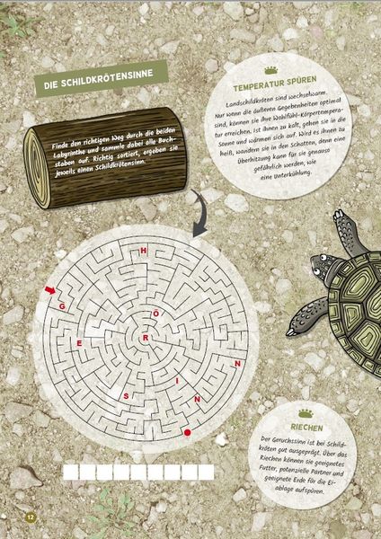 Produktbild: Faszination Schildkr&ouml;te - das besondere R&auml;tsel-, Mal- und Wissensbuch
