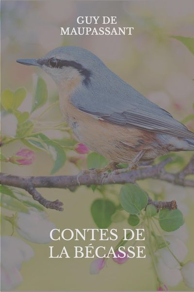 Produktbild: Contes de la b&eacute;casse