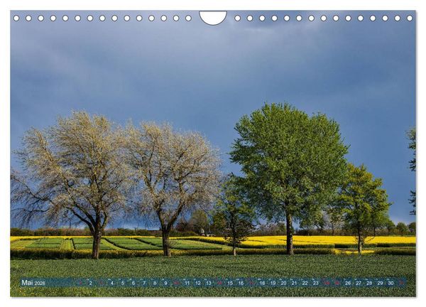 Produktbild: Kappeln und die Schlei (Wandkalender 2026 DIN A4 quer), CALVENDO Monatskalender