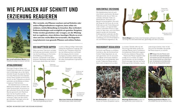 Produktbild: Gr&uuml;nes Gartenwissen. Pflanzen richtig schneiden