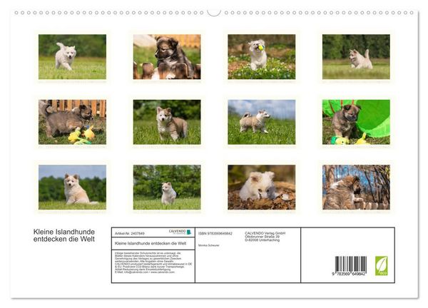 Produktbild: Kleine Islandhunde entdecken die Welt (hochwertiger Premium Wandkalender 2027 DIN A2 quer), Kunstdruck in Hochglanz