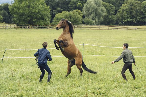 Produktbild: Reiterhof Wildenstein