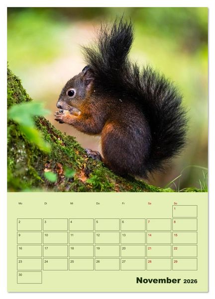 Produktbild: H&ouml;rnchen aus aller Welt (Wandkalender 2026 DIN A3 hoch), CALVENDO Monatskalender
