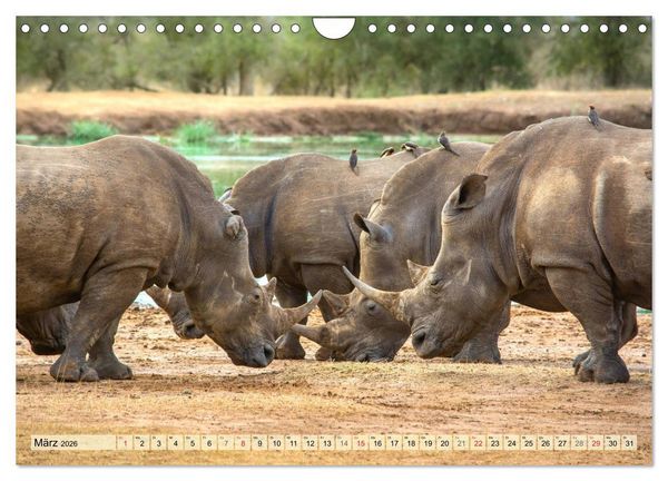 Produktbild: Eswatini - K&ouml;nigreich im s&uuml;dlichen Afrika (Wandkalender 2026 DIN A4 quer), CALVENDO Monatskalender