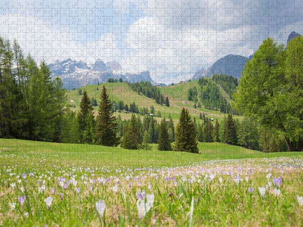 Produktbild: CALVENDO Puzzle Krokuswiese am Piz Sorega | 1000 Teile Lege-Gr&ouml;&szlig;e 64x48cm Foto-Puzzle f&uuml;r gl&uuml;ckliche Stunden