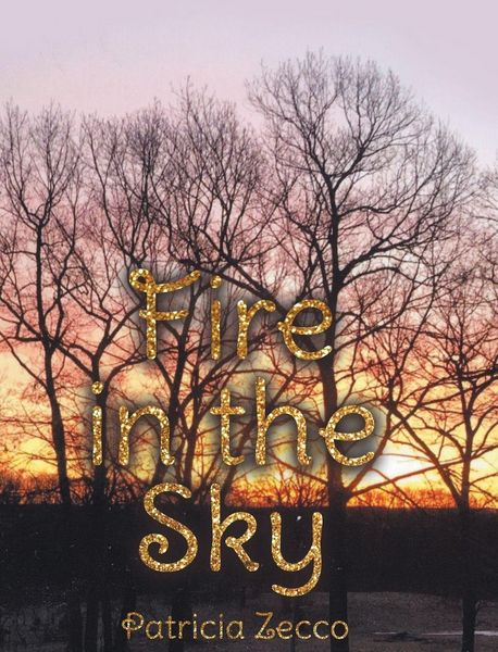 Produktbild: Fire in the Sky