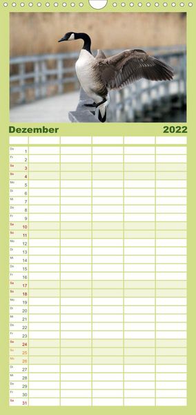 Produktbild: KANADA-GANS - Der 'hupende' Vogel - Familienplaner hoch (Wandkalender 2022 , 21 cm x 45 cm, hoch)