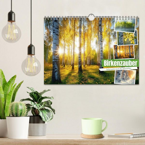Produktbild: Birkenzauber (Wandkalender 2026 DIN A4 quer), CALVENDO Monatskalender