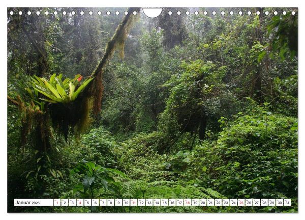 Produktbild: Madagaskar (Wandkalender 2026 DIN A4 quer), CALVENDO Monatskalender