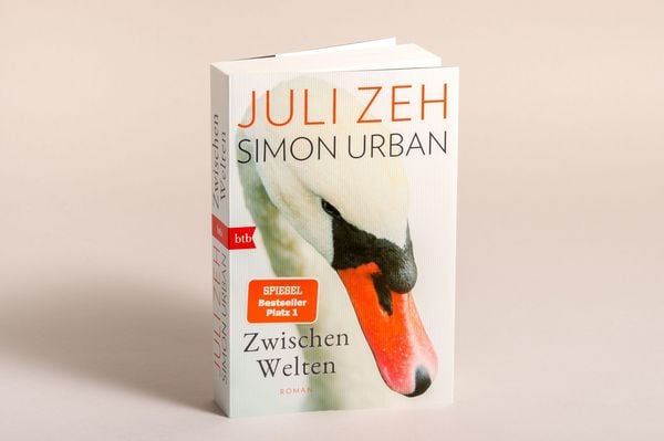 Produktbild: Zwischen Welten