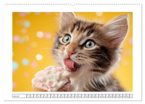 Produktbild: Miau macht gl&uuml;cklich (Wandkalender 2027 DIN A2 quer), CALVENDO Monatskalender