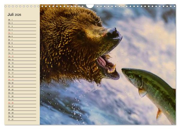 Produktbild: B&auml;ren (Wandkalender 2026 DIN A3 quer), CALVENDO Monatskalender