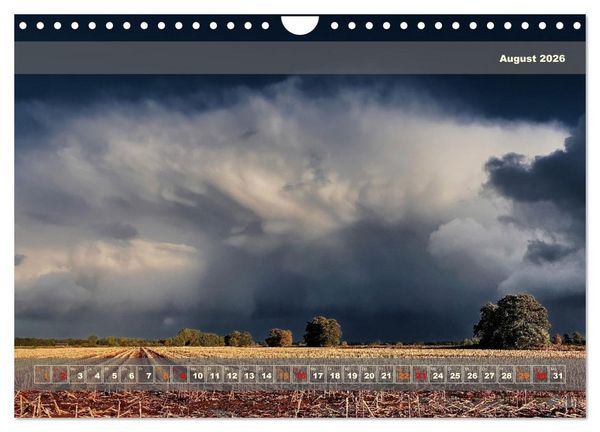 Produktbild: Licht im Land (Wandkalender 2026 DIN A4 quer), CALVENDO Monatskalender