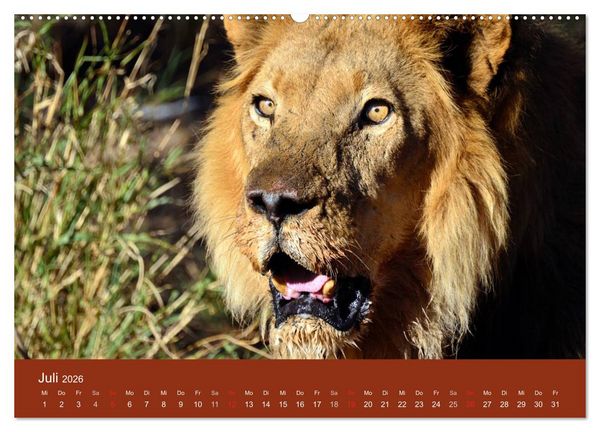 Produktbild: Namibia (hochwertiger Premium Wandkalender 2026 DIN A2 quer), Kunstdruck in Hochglanz