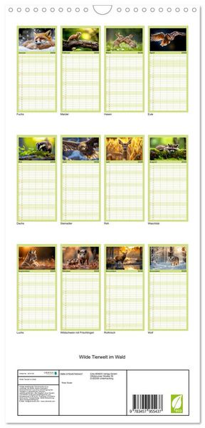Produktbild: Familienplaner 2026 - Wilde Tierwelt im Wald mit 5 Spalten (Wandkalender, 21 x 45 cm) CALVENDO