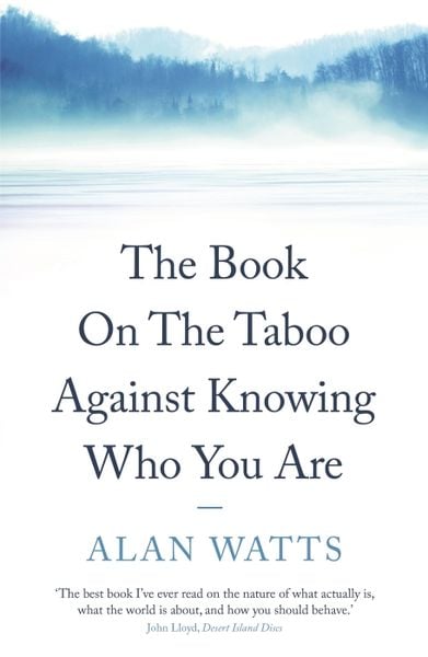 Produktbild: The Book on the Taboo Against Knowing Who You Are