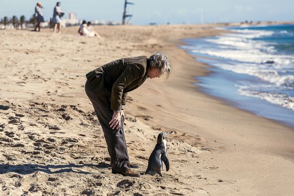 Produktbild: Der Pinguin meines Lebens