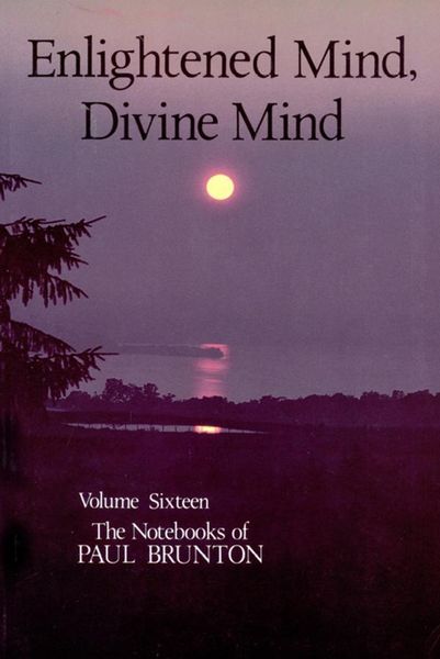 Produktbild: Enlightened Mind, Divine Mind