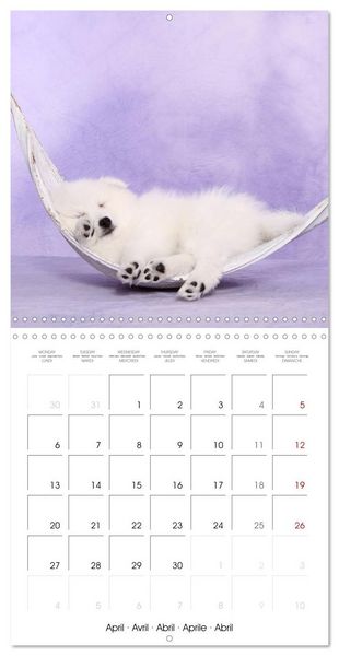 Produktbild: Sleeping Puppies (Wall Calendar 2026 12 &times; 12 Inch) CALVENDO 12 Month Wall Calendar