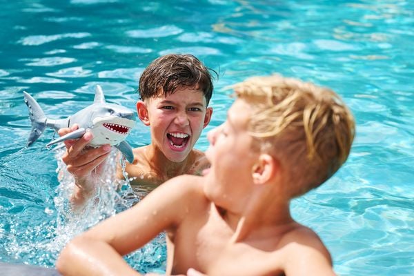 Produktbild: Robo Alive - Shark Attack