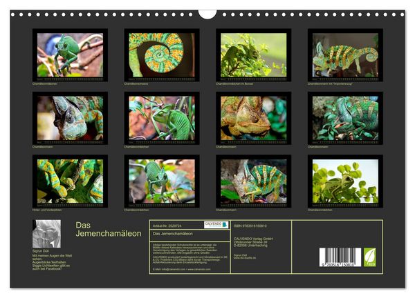 Produktbild: Das Jemencham&auml;leon (Wandkalender 2026 DIN A3 quer), CALVENDO Monatskalender