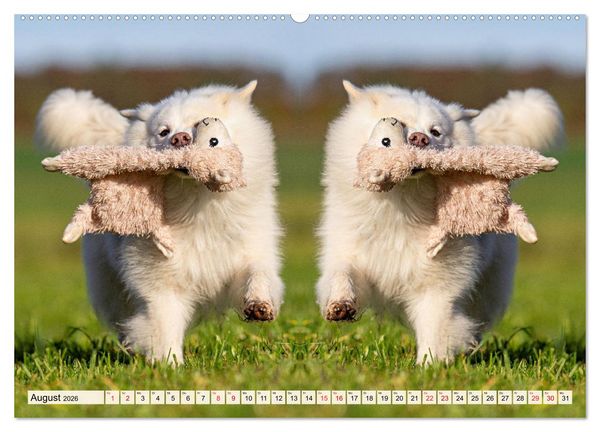 Produktbild: Mit doppelter Power durch das Jahr (hochwertiger Premium Wandkalender 2026 DIN A2 quer), Kunstdruck in Hochglanz