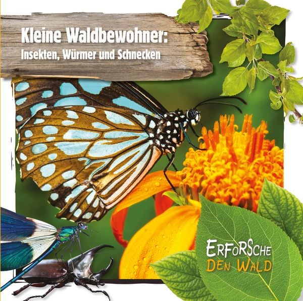 Produktbild: Kleine Waldbewohner: Insekten, W&uuml;rmer und Schnecken