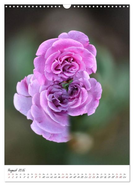 Produktbild: Durchschnittlich - Verzauberte Flora (Wandkalender 2026 DIN A3 hoch), CALVENDO Monatskalender